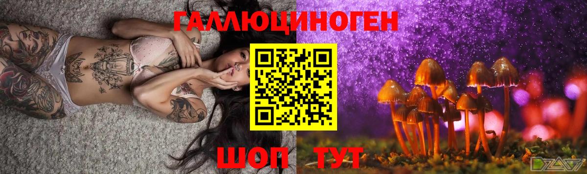 Братск  Галлюциногенные грибы мицелий  Псилоцибиновые грибы мицелий  Вход с VPN 